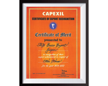capexil_2006-2007
